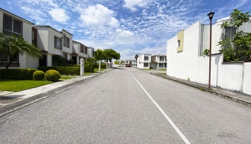 MONTE SINAI  72 3.jpg